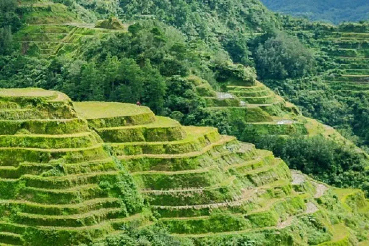 Banaue and Batad Rice Terraces (Ifugao)