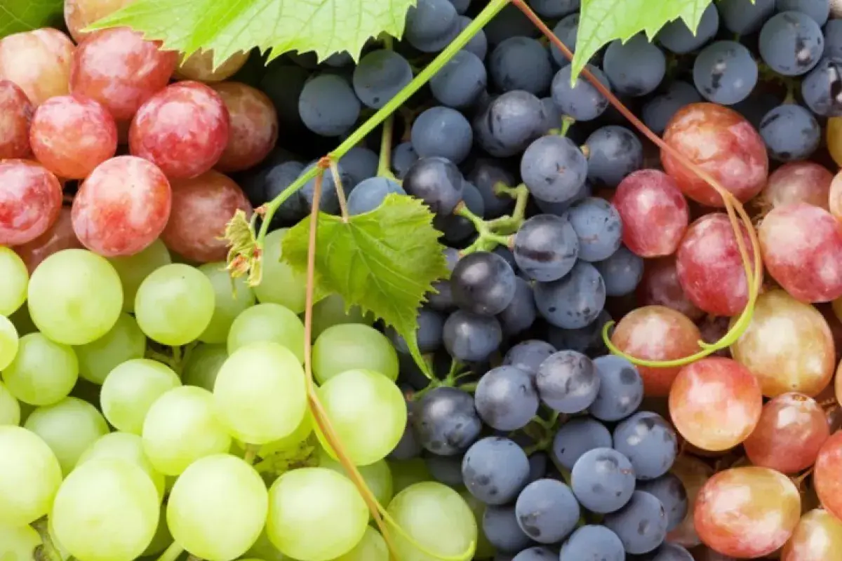 Grapes