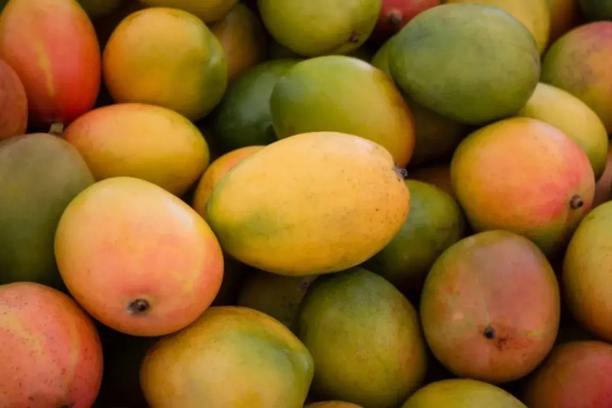 Mangoes