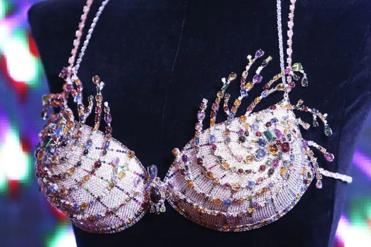 There’s a $2 Million Bra