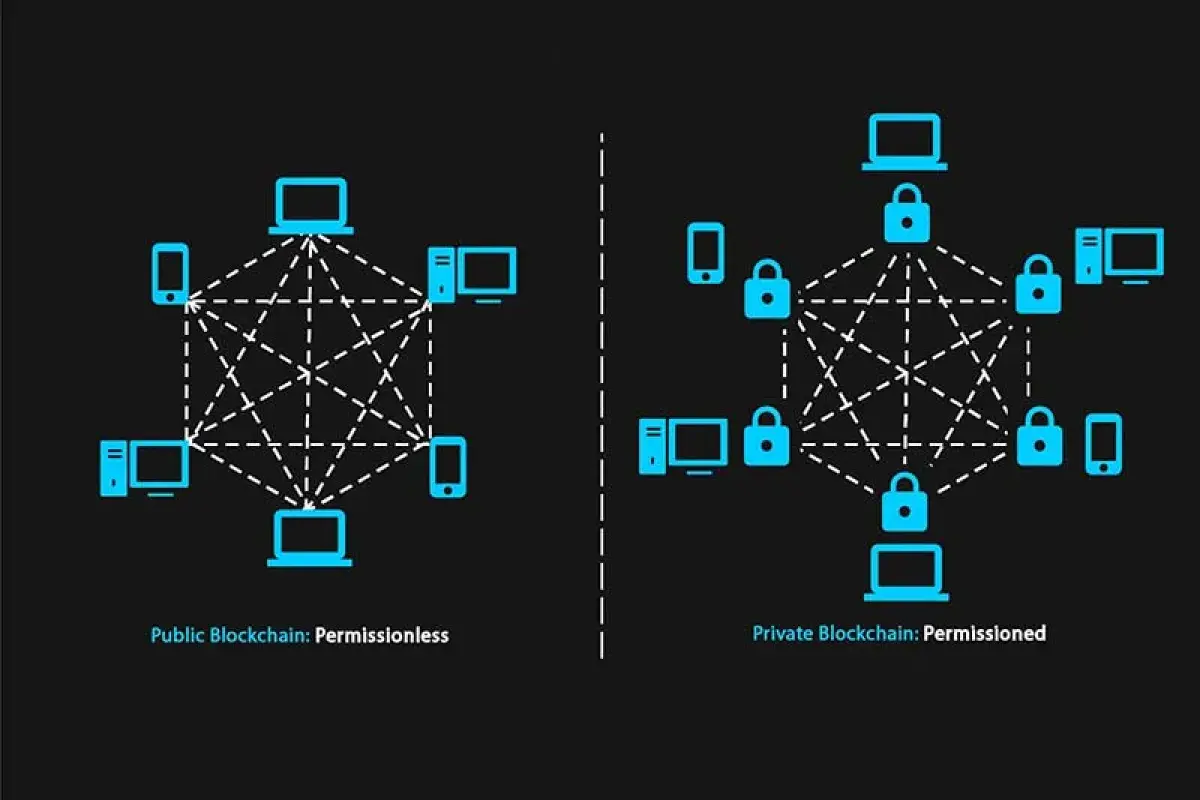 Blockchain Network Types Diagram