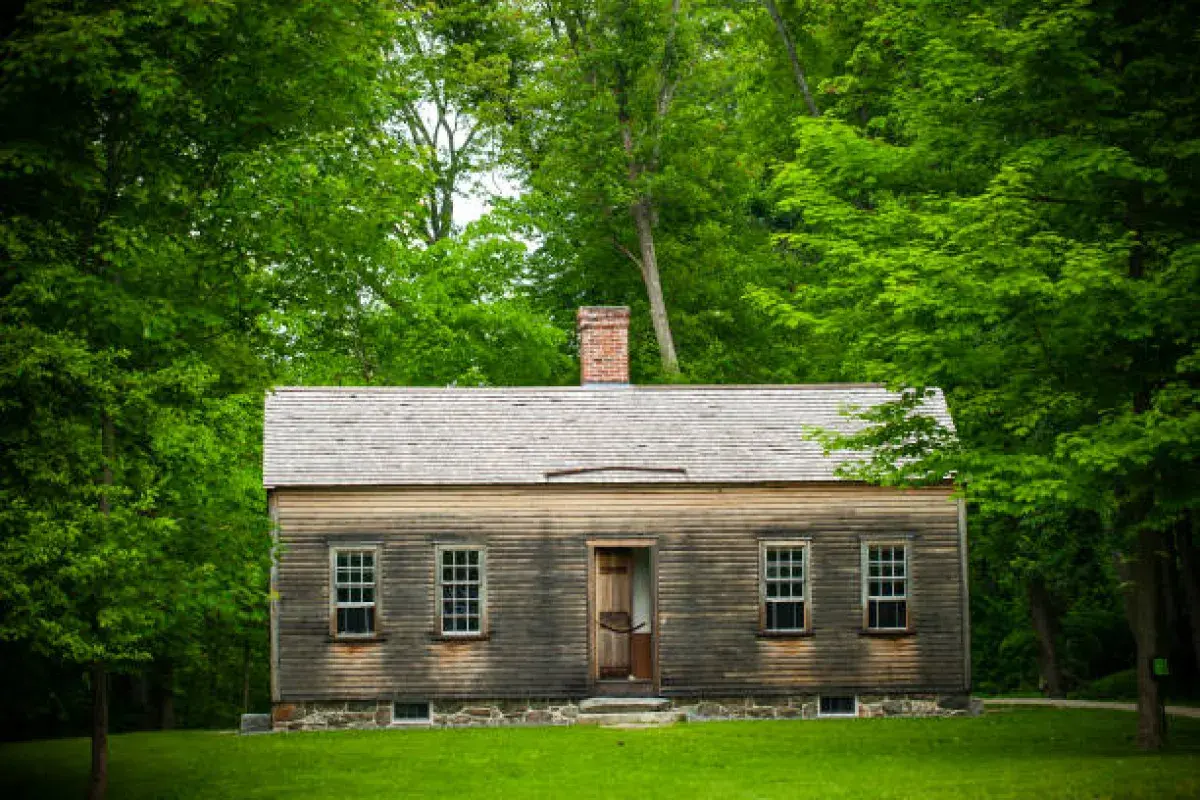 Early American wooden cabin surrounded by trees