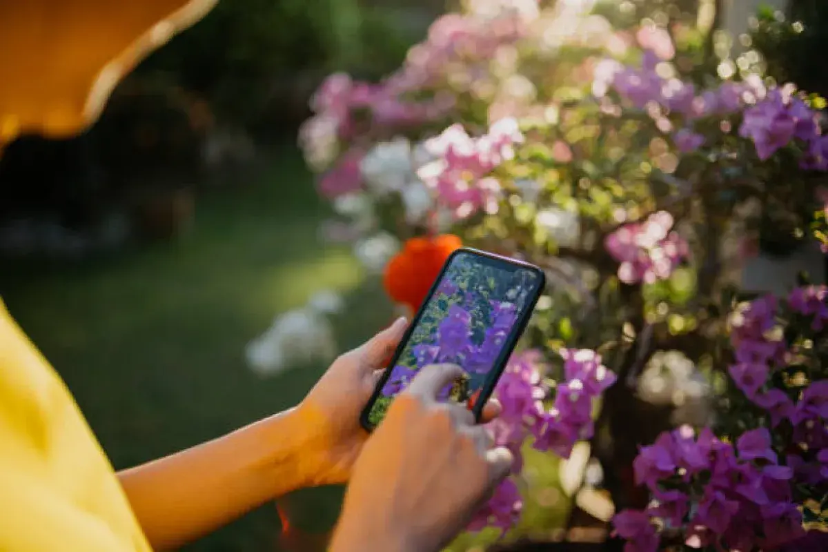 Capturing Photos with Budget Smartphone
