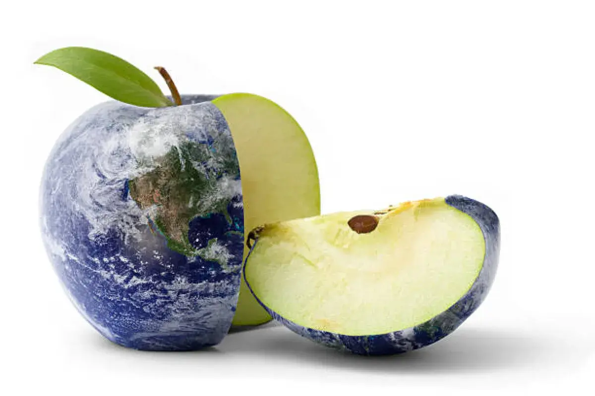 Apples remain one of the most beloved fruits in the world