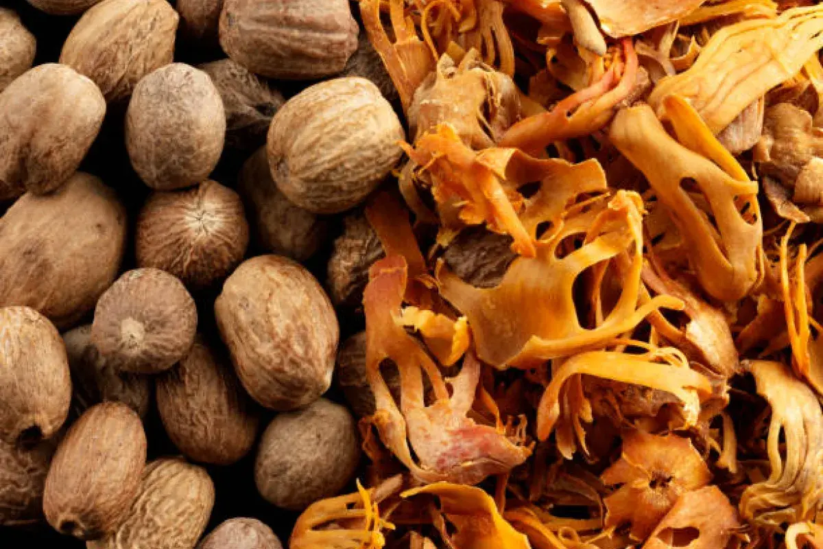 Nutmeg and Mace Spices Side by Side
