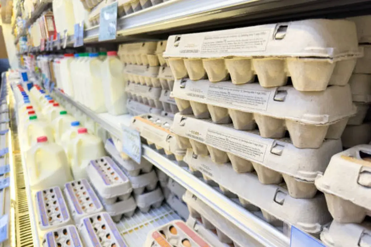 Eggs stored in a refrigerated section at an American supermarket.