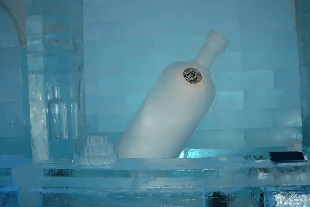 Vodka bottle in a home freezer