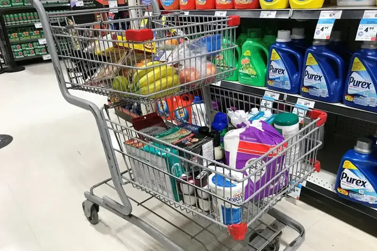 Everyday Shopping Items