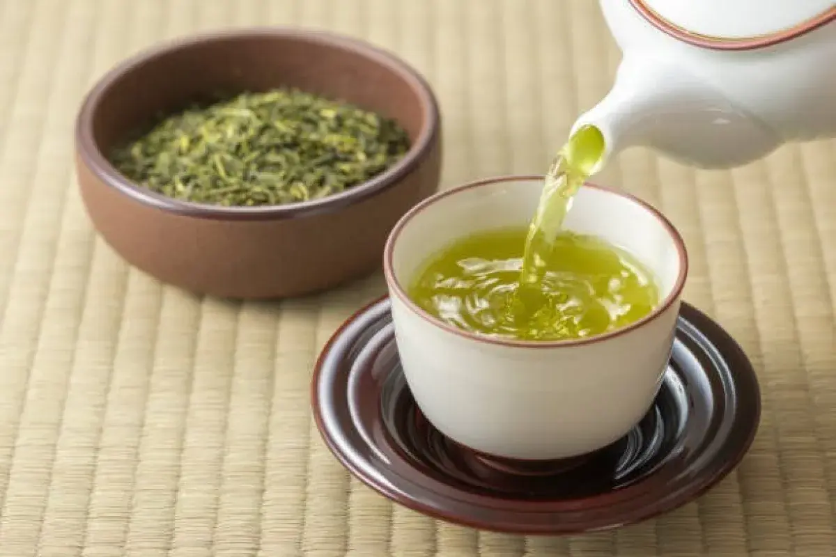 Green tea rich in antioxidants for liver health