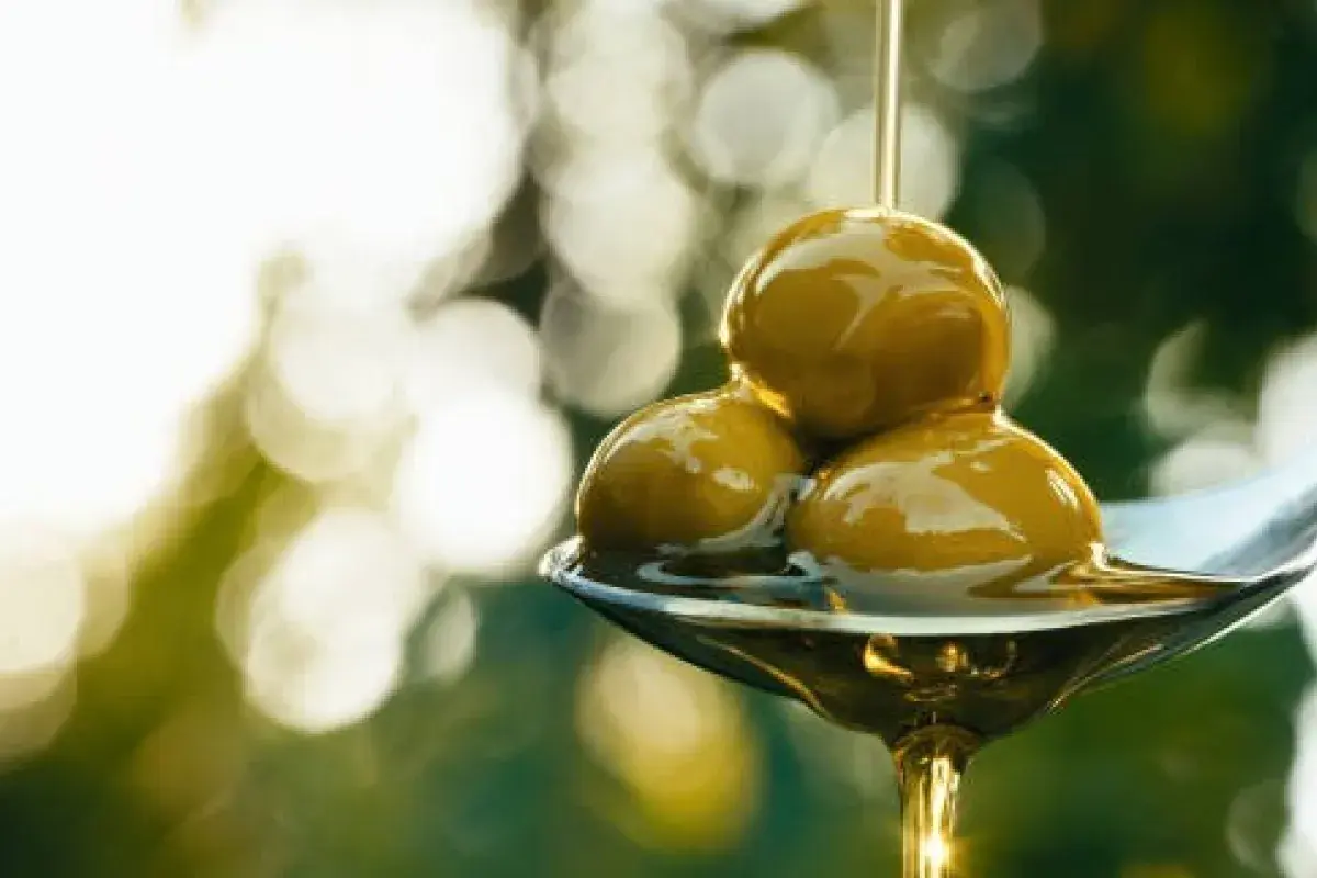 Olive oil supporting healthy liver fat metabolism