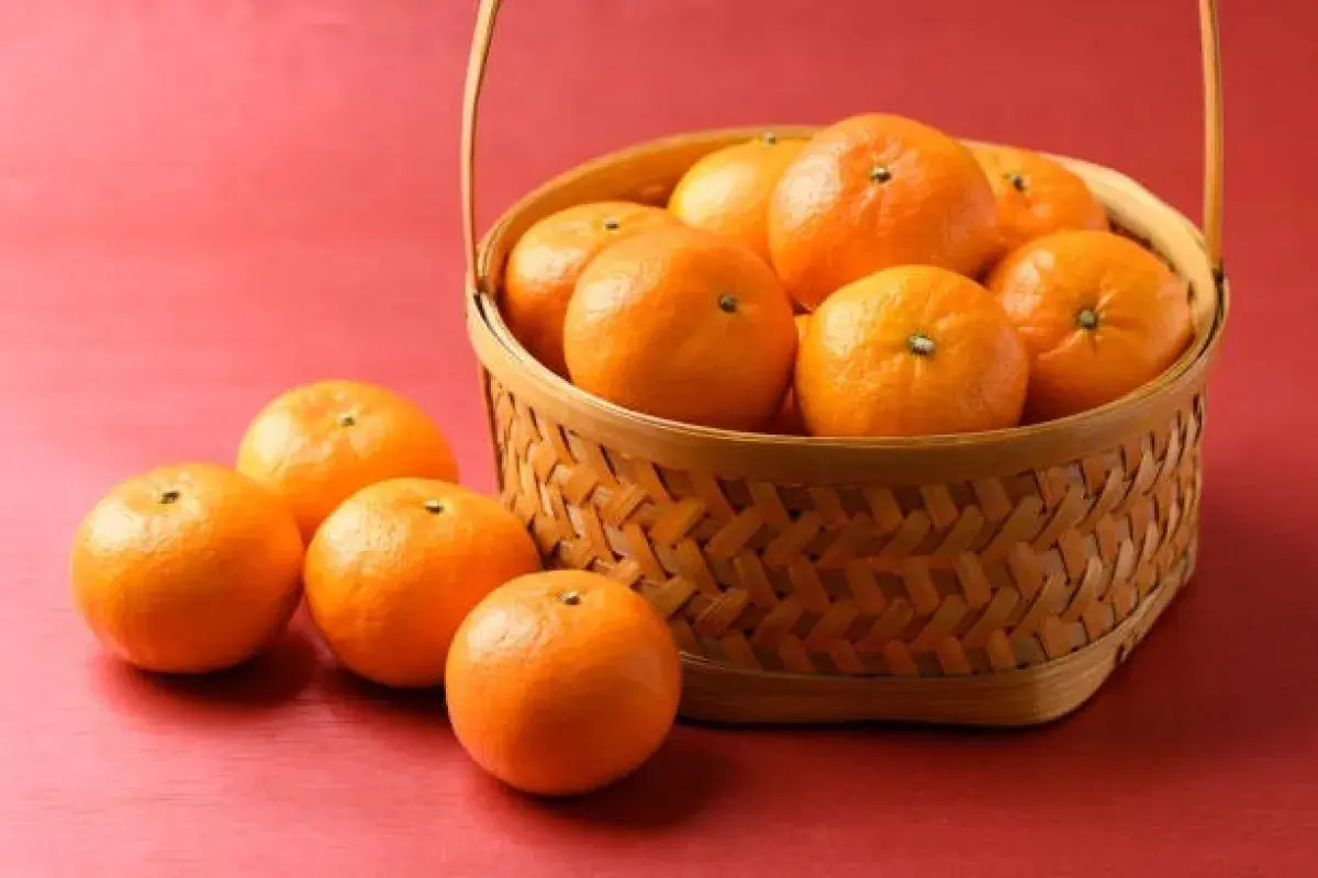 Fresh Oranges Rich in Vitamin C