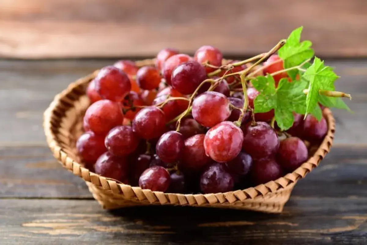 Fresh Grapes with Natural Resveratrol