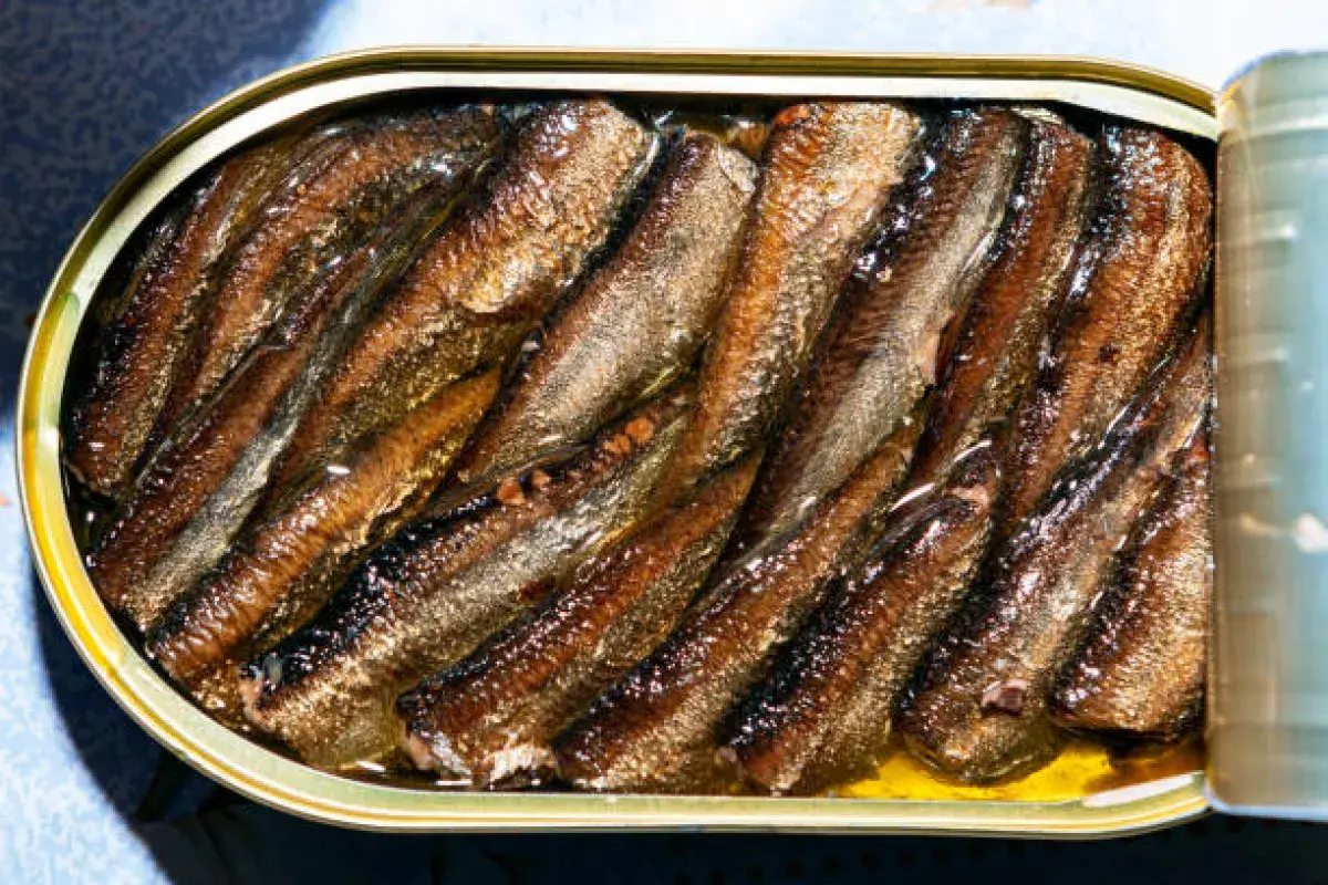Sardines cooked and preserved directly inside the can