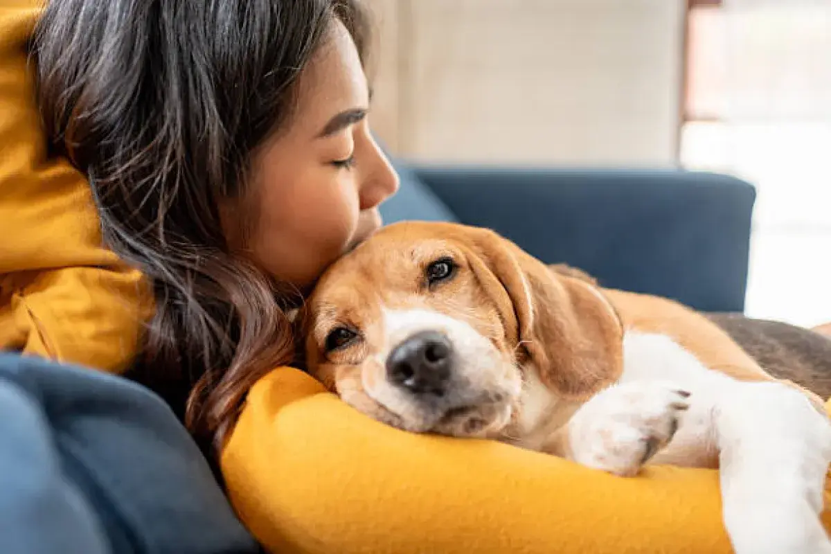 Owner hugging dog, warm emotional moment