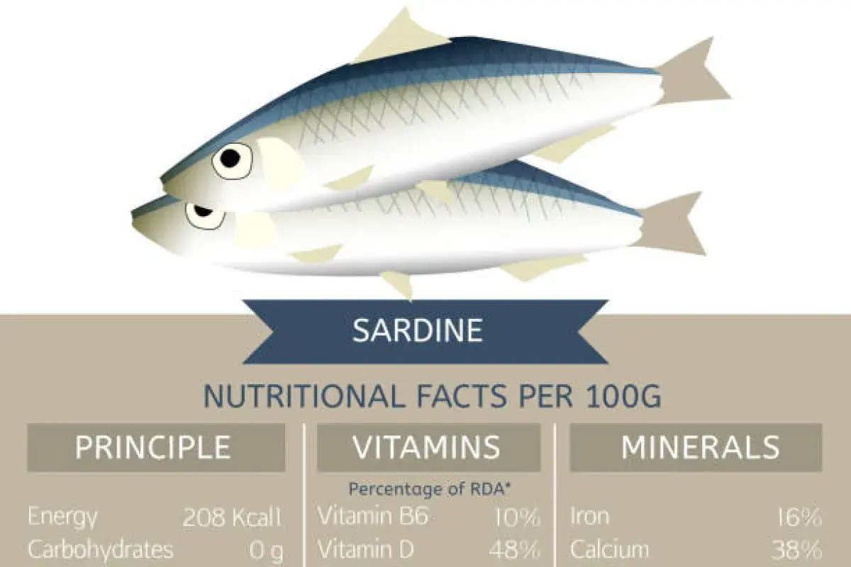 Nutrient rich canned sardines highlighting protein and omega 3 content