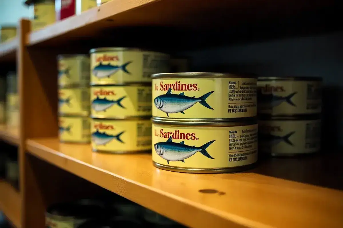 Canned sardines stored neatly on a pantry shelf