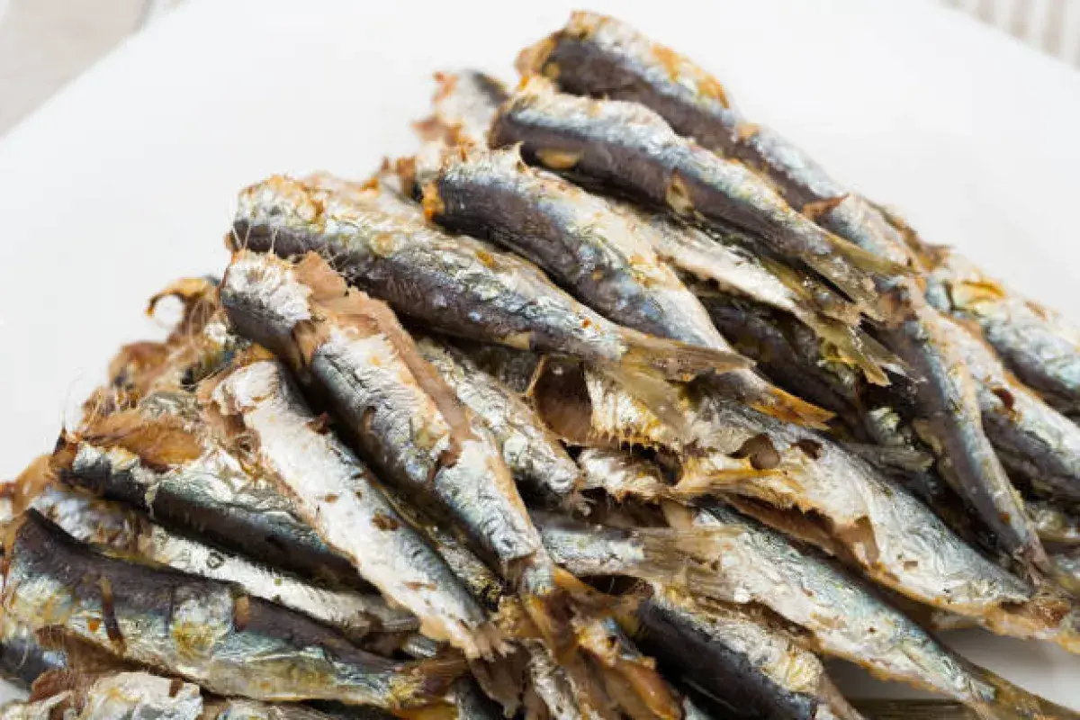 Soft edible bones visible in canned sardines