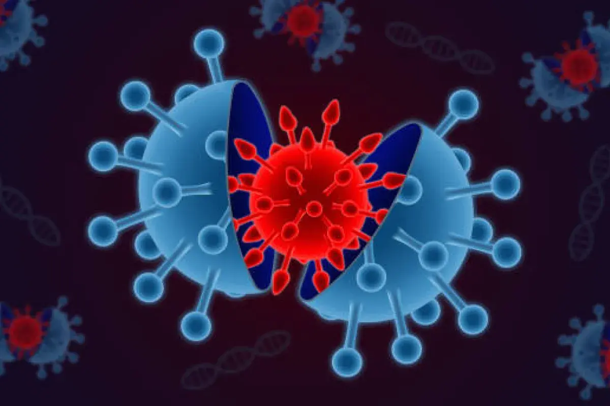 How vaccines protect without causing disease