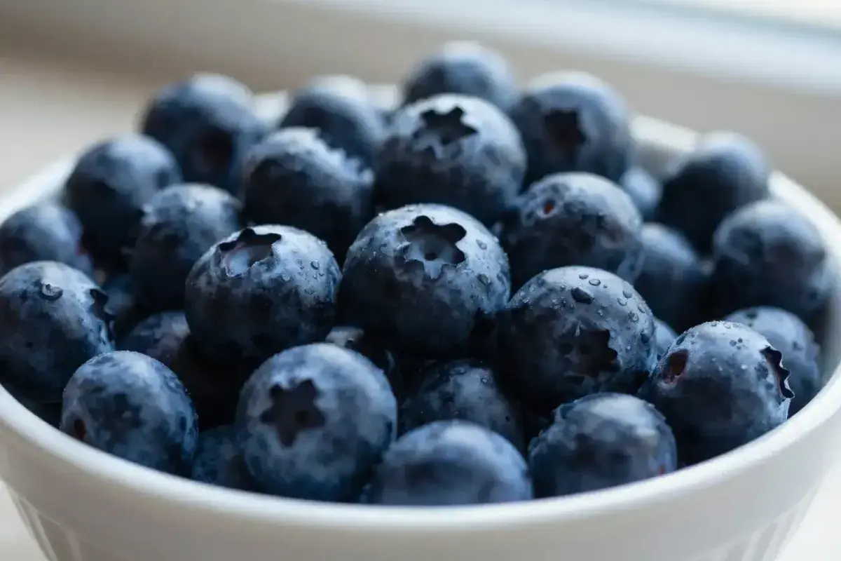 Fresh blueberries rich in antioxidants for vision support