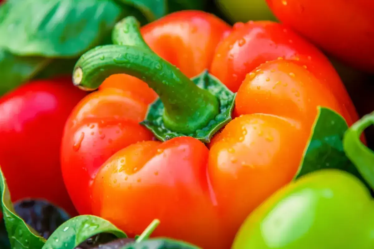 Bright colorful vegetables showing rich natural color