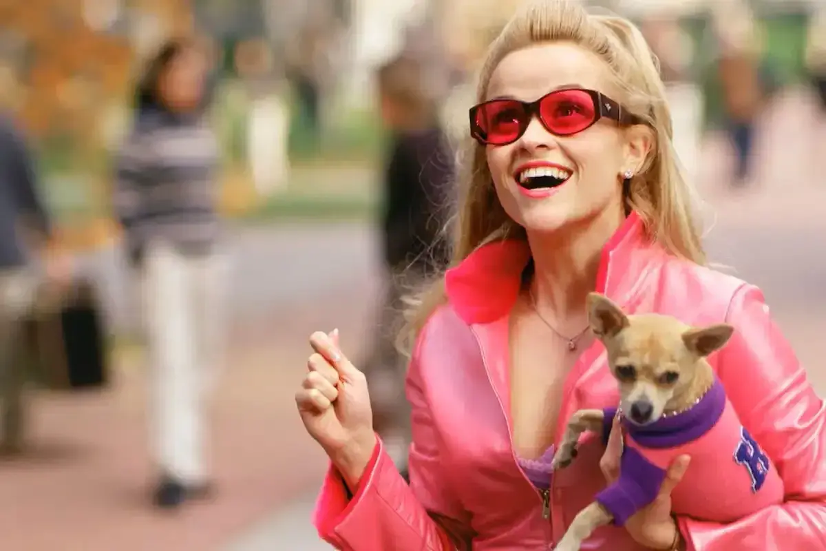 Bruiser Woods in pink outfit from Legally Blonde