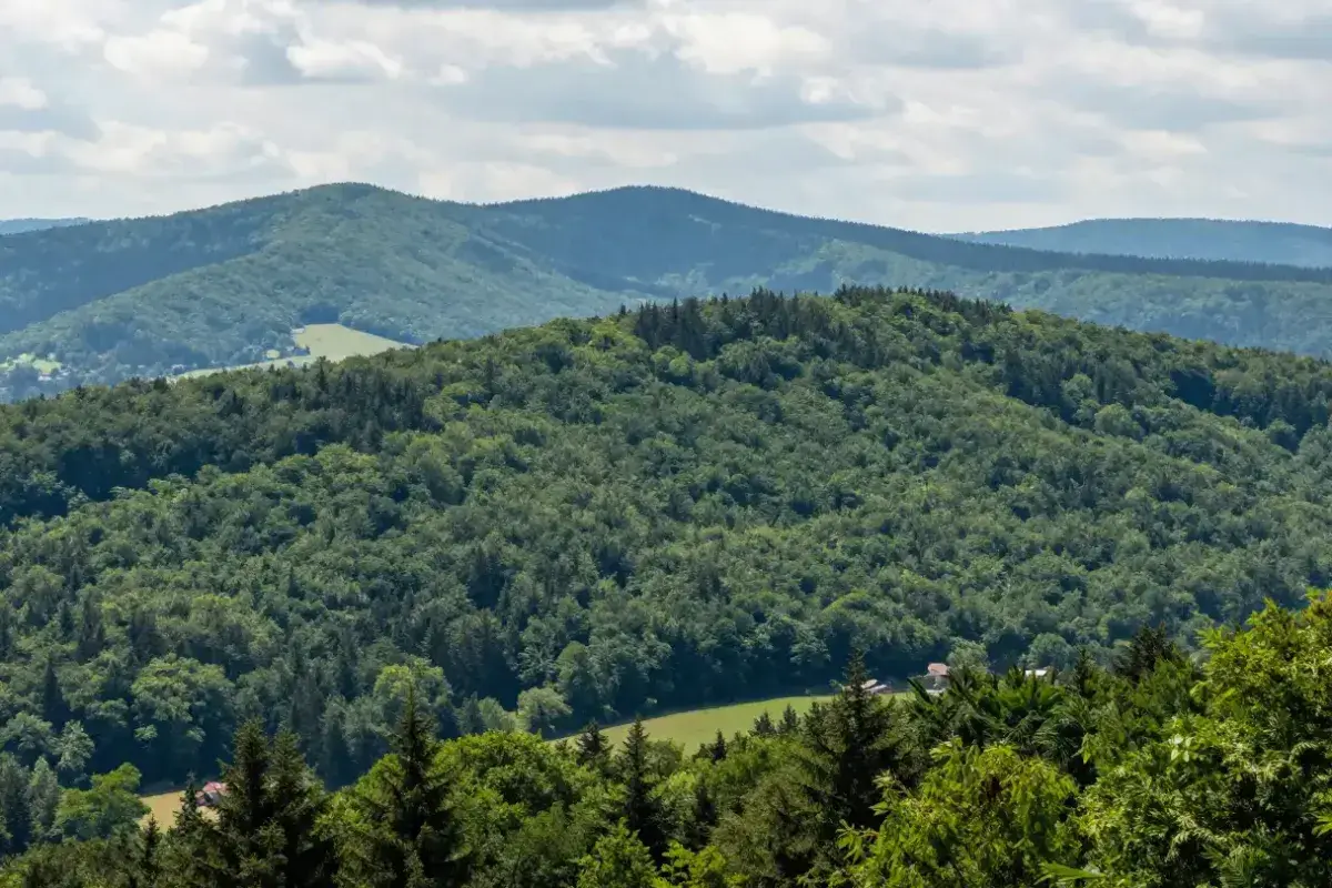 Owl Mountains Poland forest landscape
