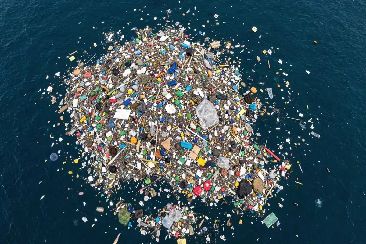 Floating Plastic Debris in Great Pacific Garbage Patch