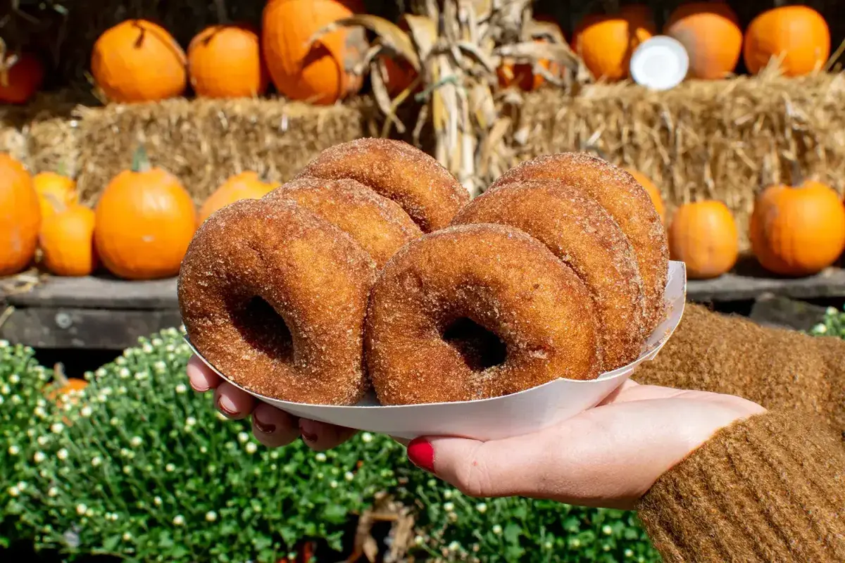 apple cider donuts