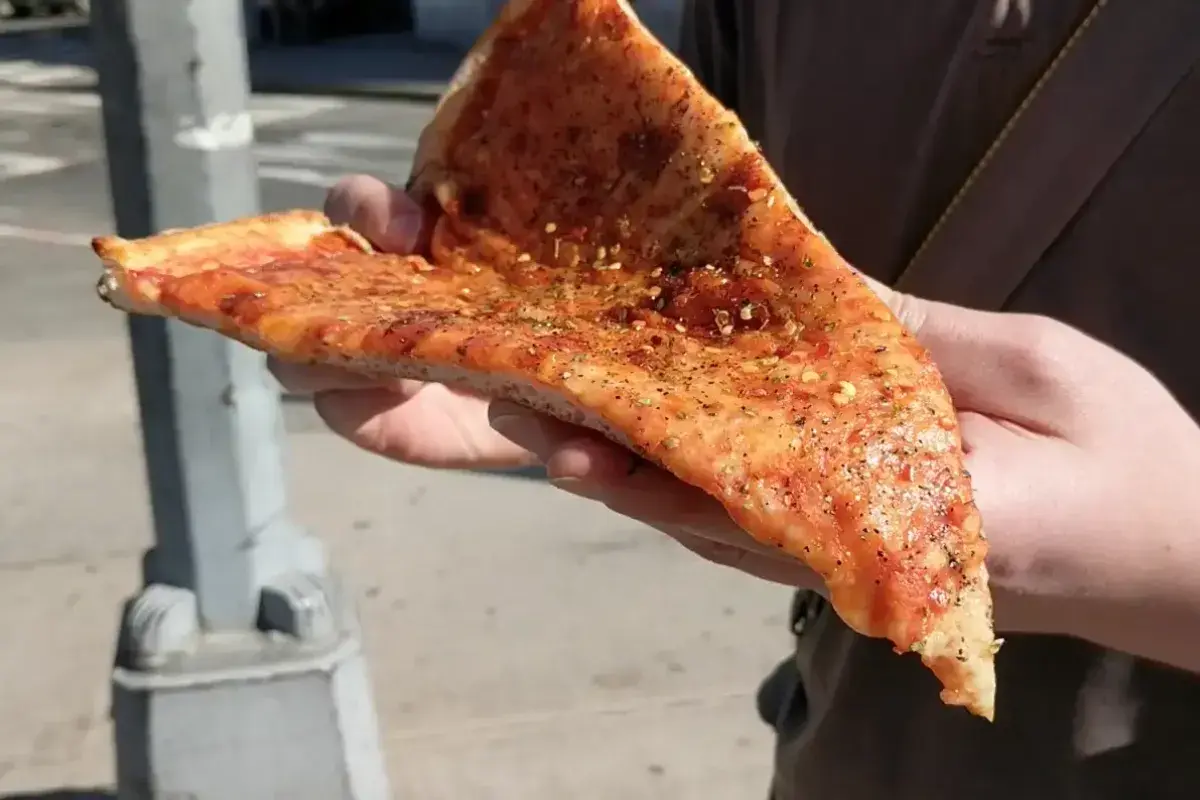 New York style pizza slice