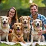 Loving dogs enjoying life with their owners