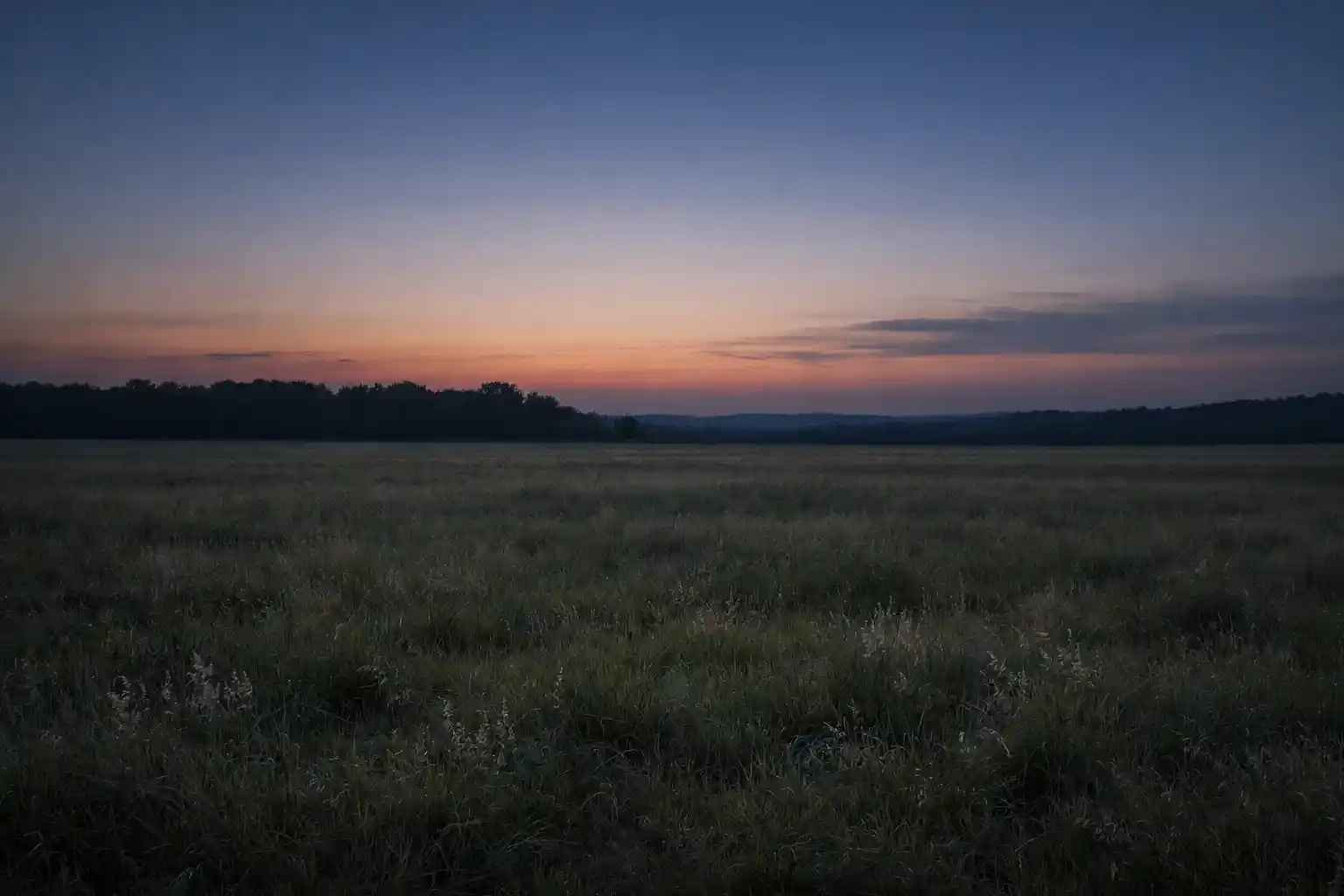 An empty field at dusk with soft light fading over untouched grass symbolizing silence after historical loss