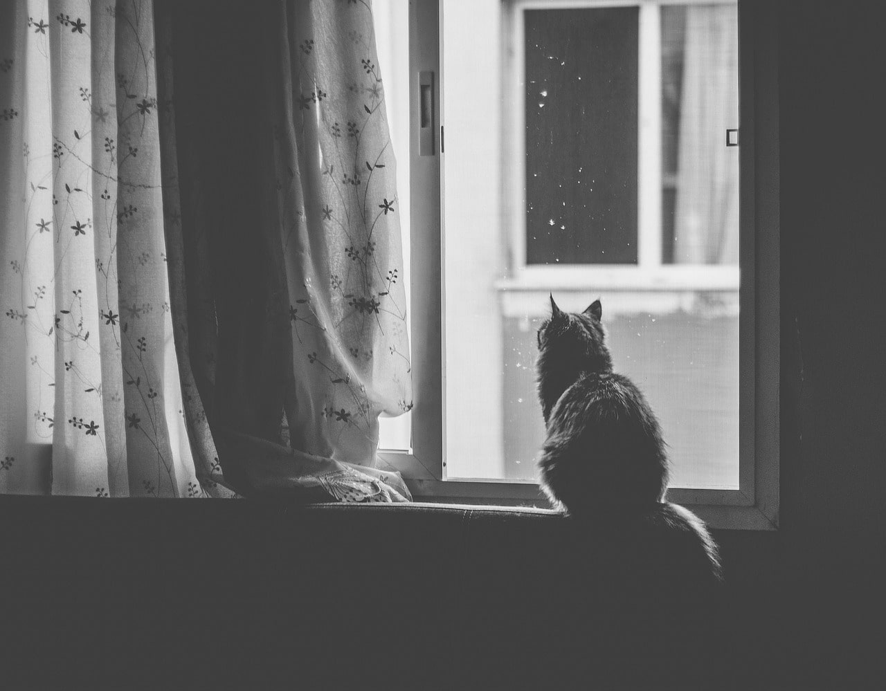 stillness.. nothing to prove