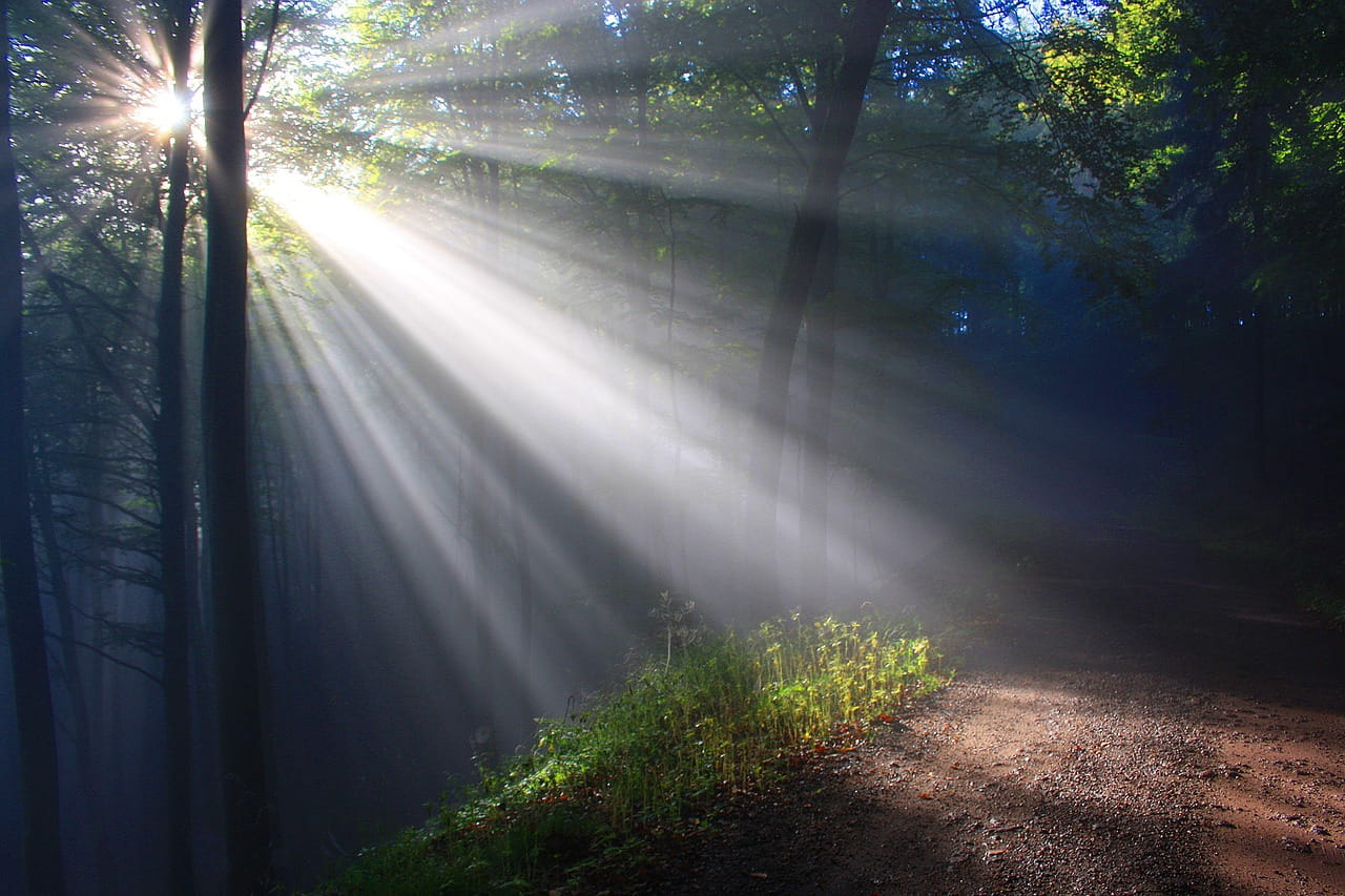 sunlight 