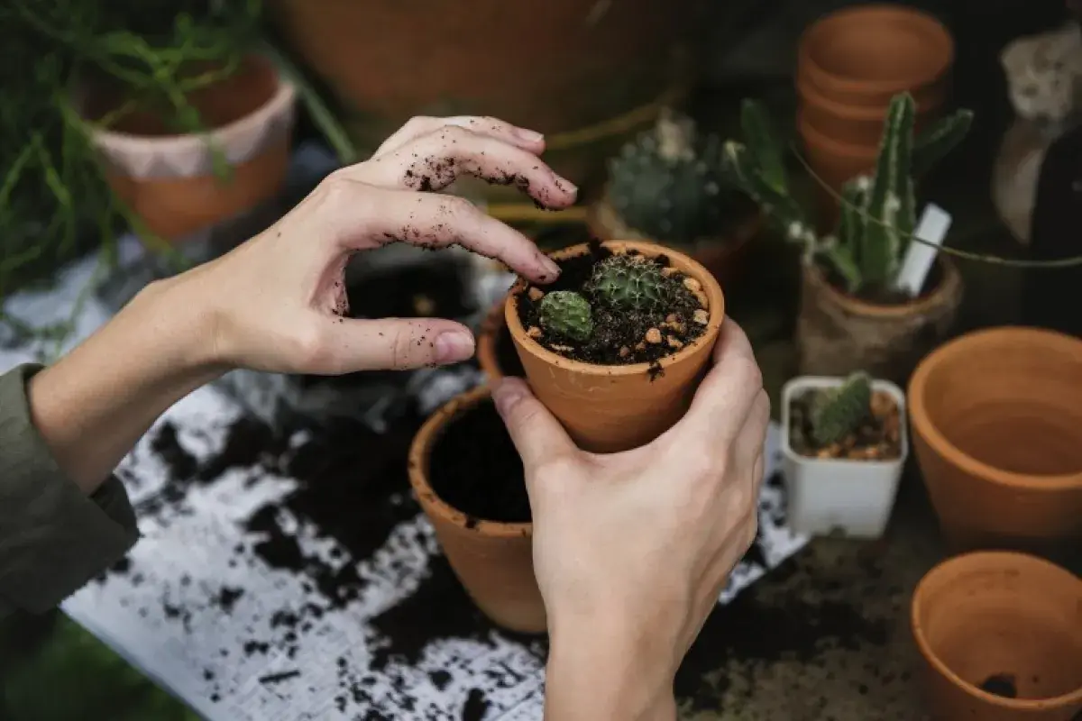 The Perfumery of Nature: A Feast for the Senses