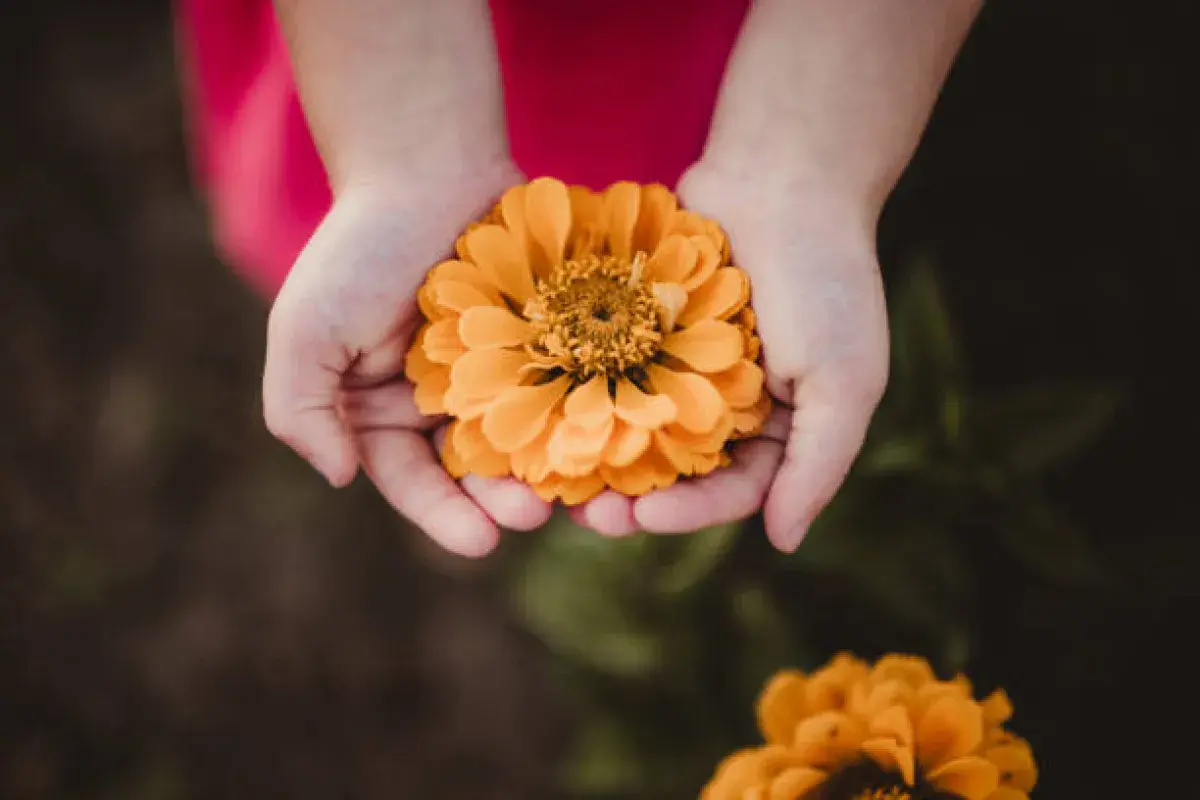 Hands offering a small gesture of kindness