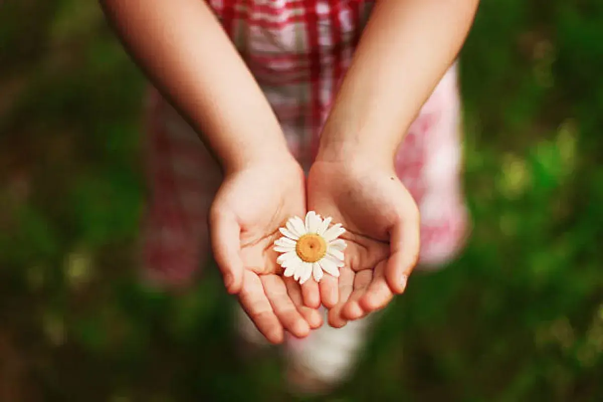 Life and restoration, echoing the seven sneezes and revived hope
