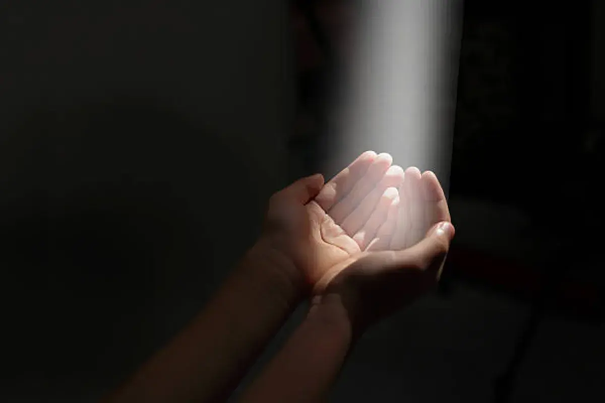 We All Have a Box in Our Hands
