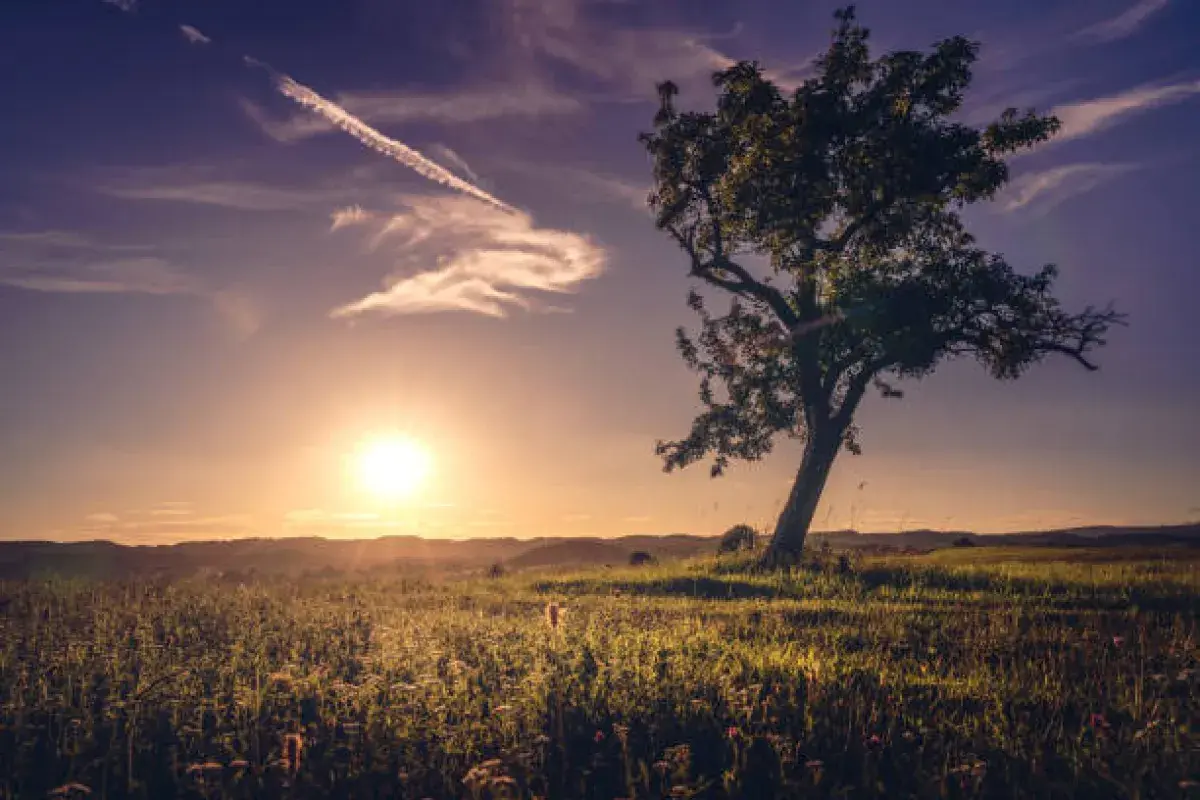 Tranquil landscape symbolizing lasting joy within.