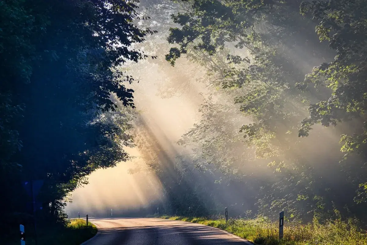 new day