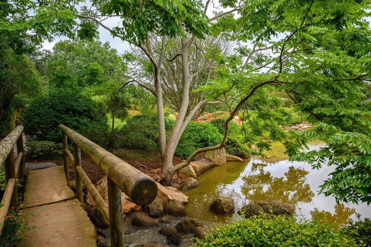 bridge to awareness of what we allow inside 