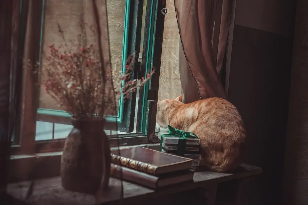 The Quiet Moment