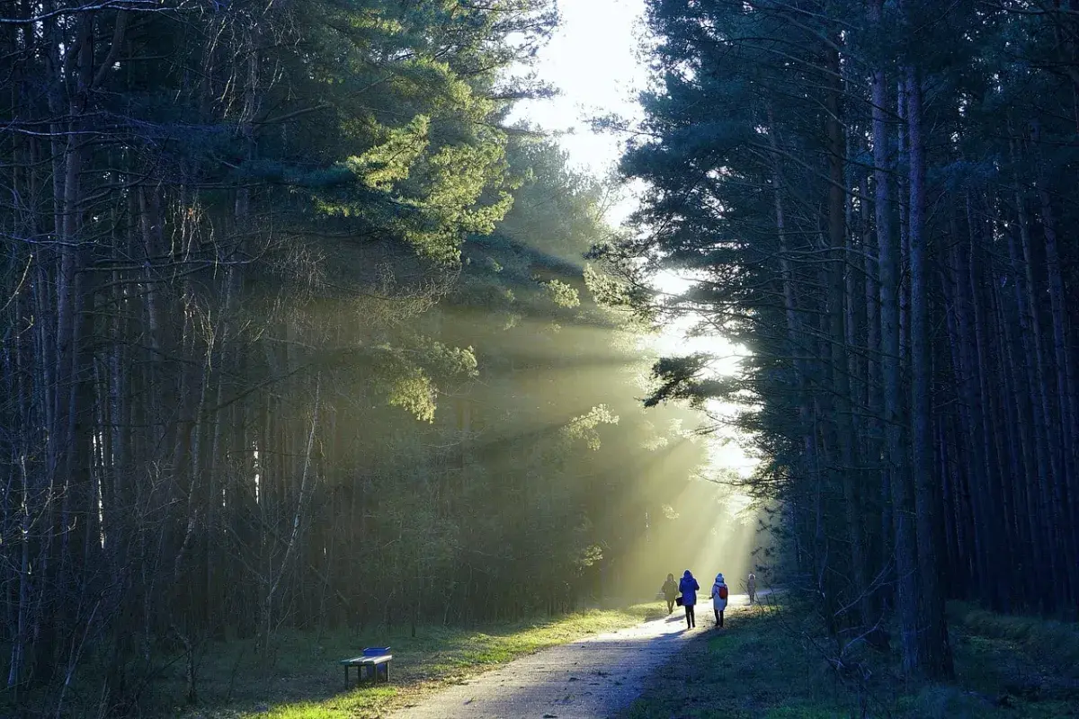 the pathway to aging with dignity 