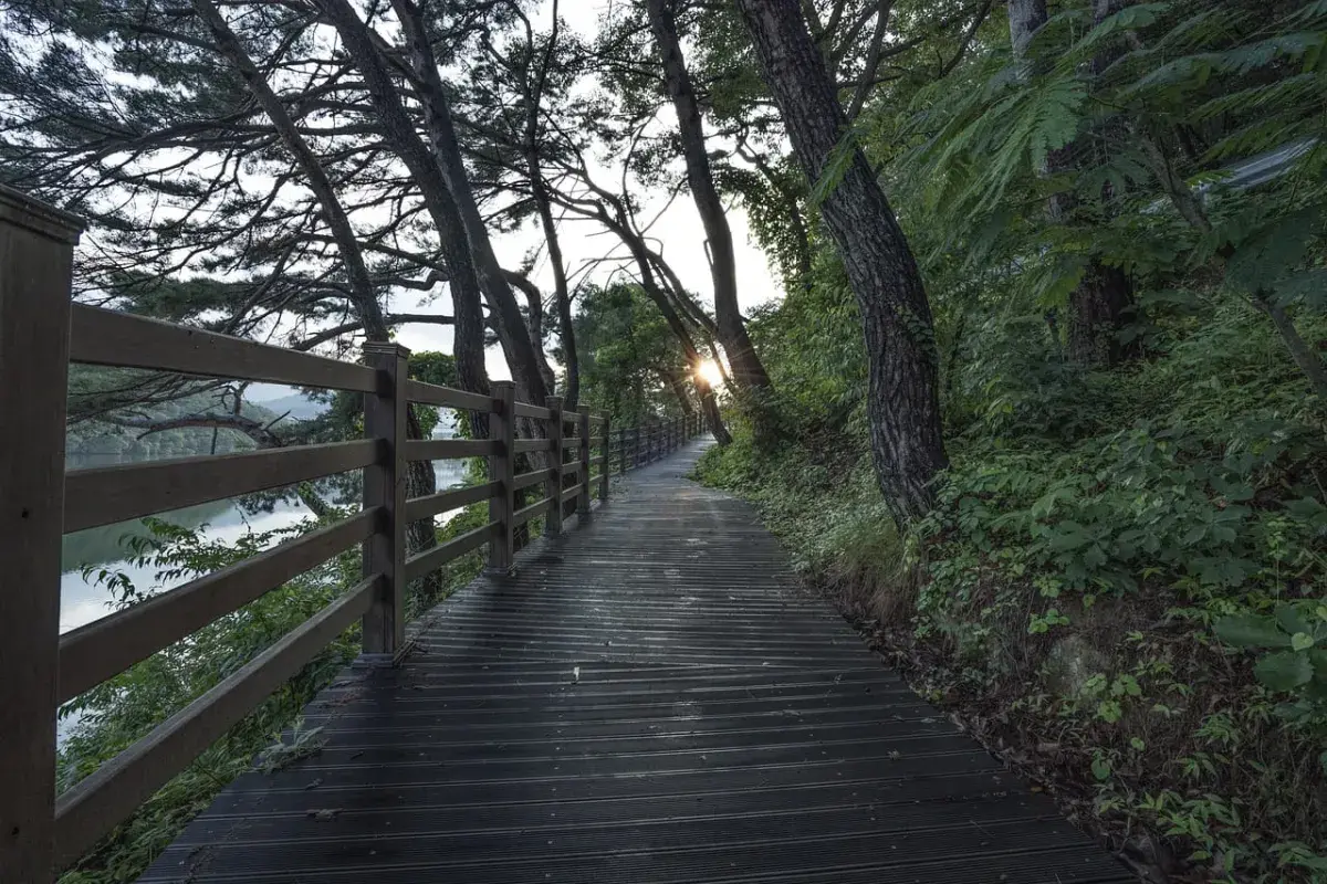 quietness 