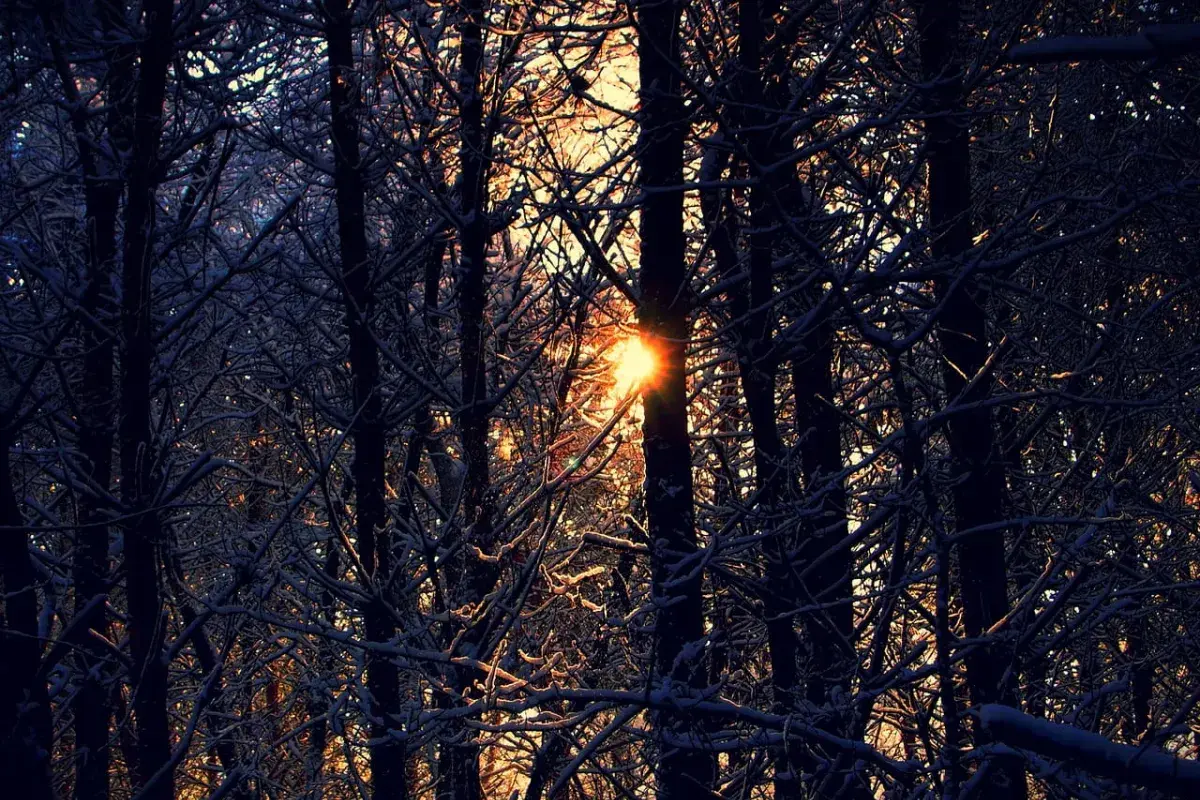 creeping sunrise light 