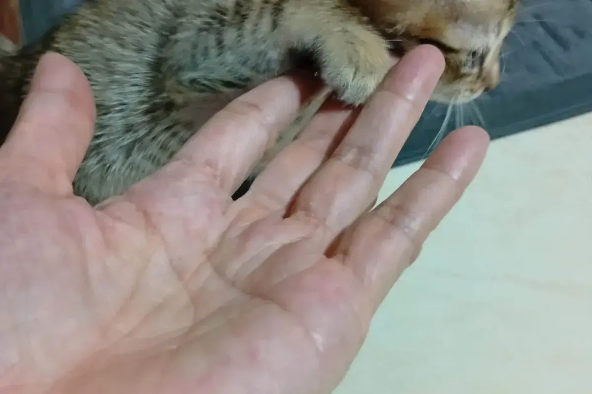 minus 2