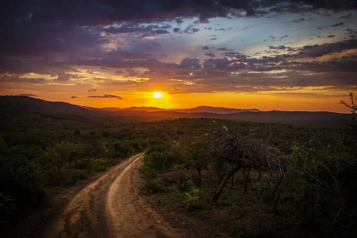 road ahead