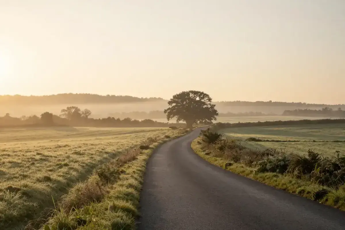 A peaceful path winding toward a bright horizon at sunrise, symbolizing hope and the journey of beginning again