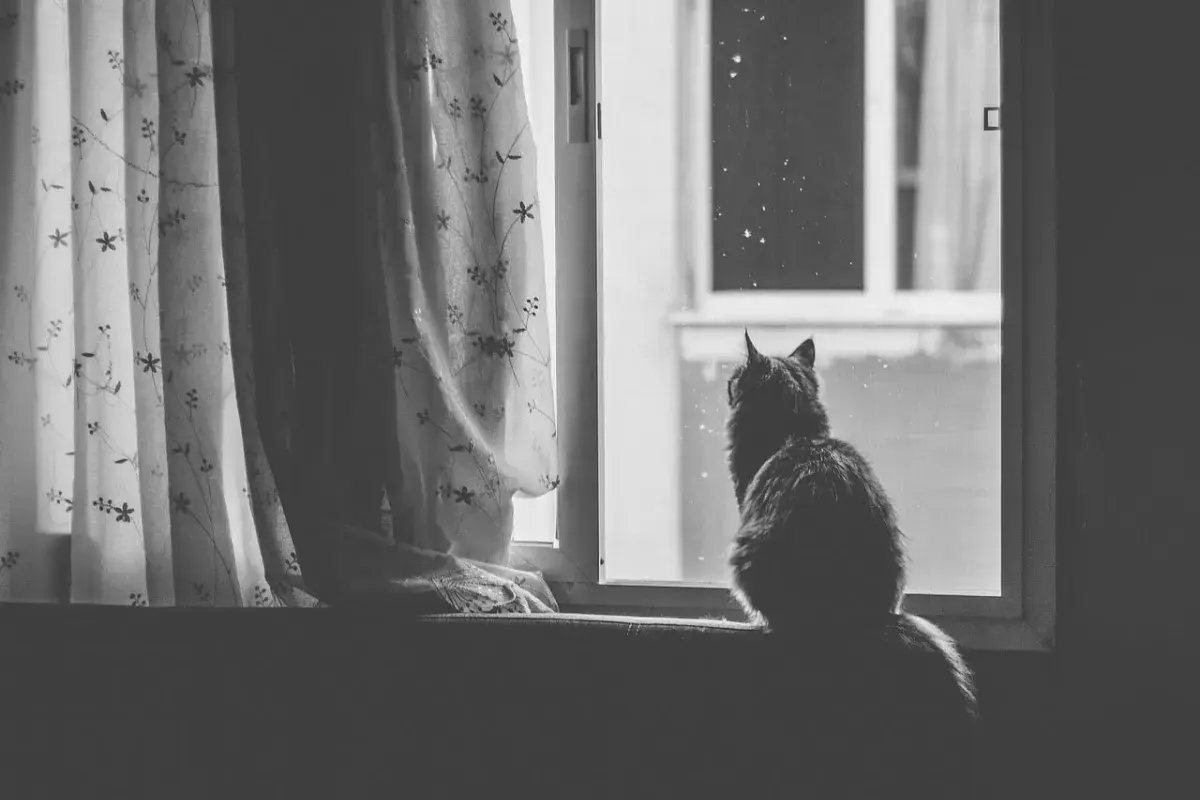 stillness.. nothing to prove