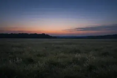 An empty field at dusk with soft light fading over untouched grass symbolizing silence after historical loss