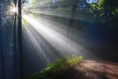 sunlight 